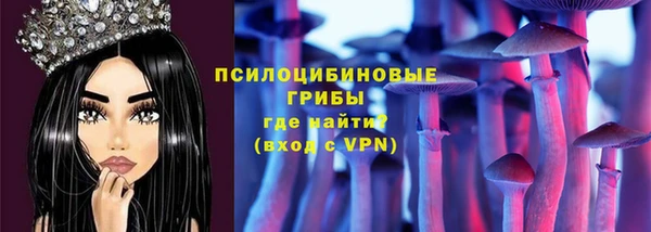 таблы Ельня