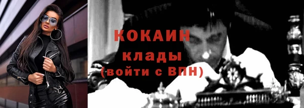 спиды Елизово