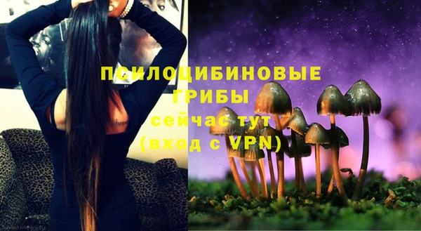 спиды Елизово