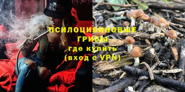 таблы Ельня