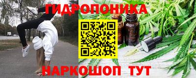 прущие крисы Камышлов
