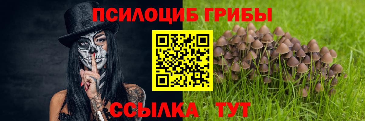 Псилоцибиновые грибы GOLDEN TEACHER  Вход с VPN  Ухта  Галлюциногенные грибы Psilocybine cubensis 